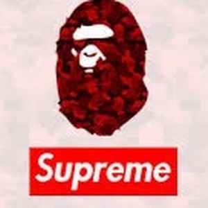 Meet your Posher, Gavin